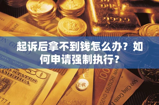 武汉起诉后拿不到钱怎么办？如何申请强制执行？