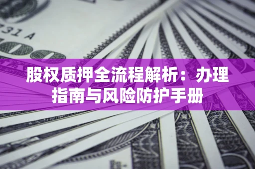 武汉股权质押全流程解析：办理指南与风险防护手册