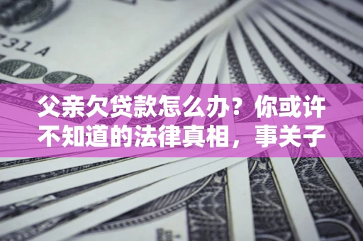 武汉父亲欠贷款怎么办？你或许不知道的法律真相，事关子女未来