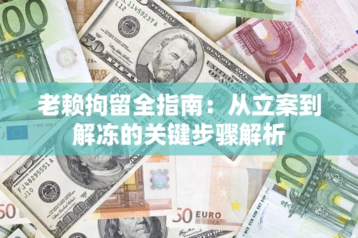 武汉老赖拘留全指南：从立案到解冻的关键步骤解析