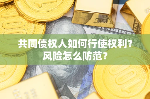武汉共同债权人如何行使权利？风险怎么防范？