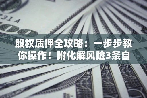 武汉股权质押全攻略：一步步教你操作！附化解风险3条自救法则