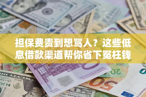 武汉担保费贵到想骂人？这些低息借款渠道帮你省下冤枉钱