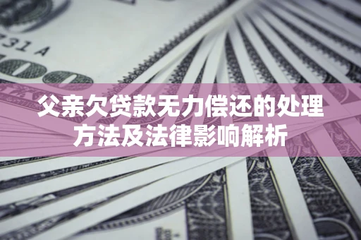 武汉父亲欠贷款无力偿还的处理方法及法律影响解析