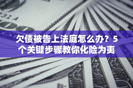 武汉欠债被告上法庭怎么办？5个关键步骤教你化险为夷